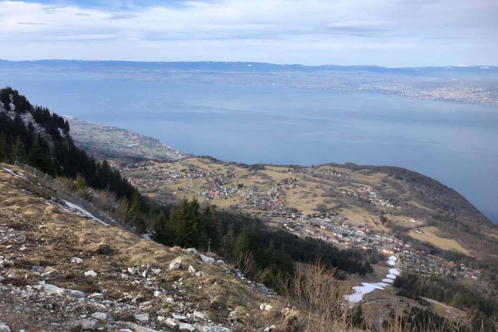 Studio Agreable Et Cosy Avec Vue Sur Les Memises Thollon-les-Memises Exterior photo
